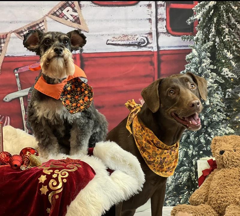 Picture Perfect Grooming, Inc Clarksville, TN